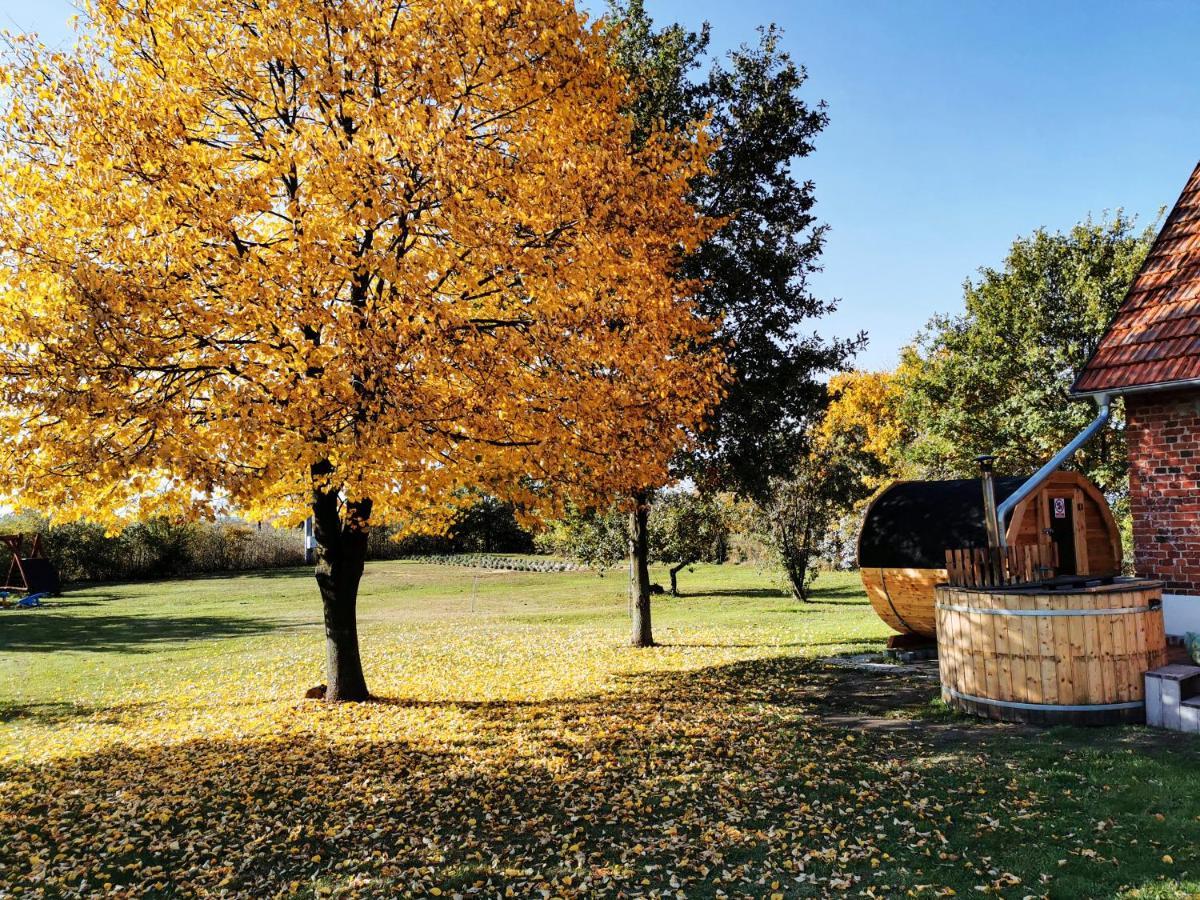 Agroturystyka Ginkgo Sulislaw  المظهر الخارجي الصورة