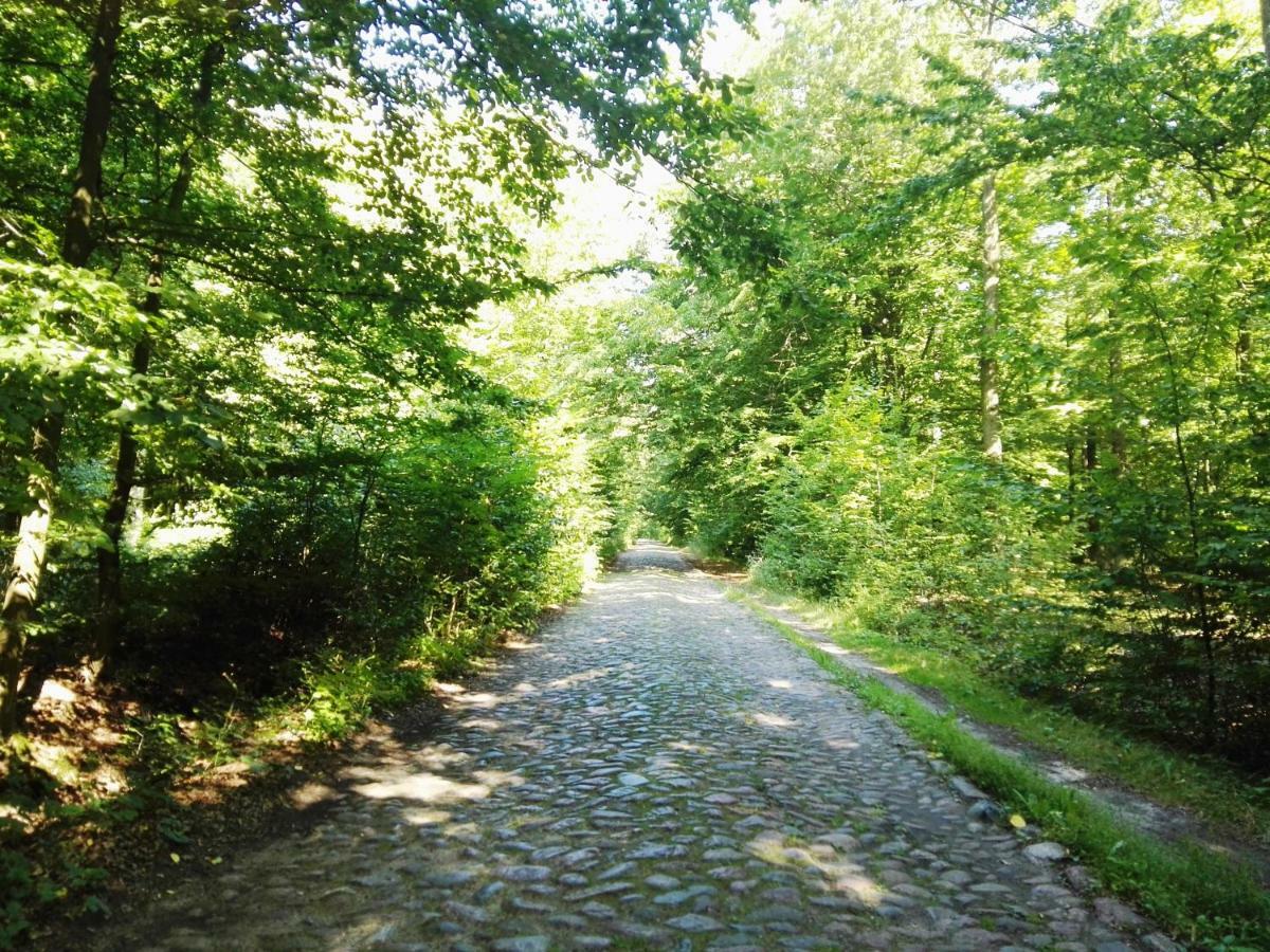 Agroturystyka Ginkgo Sulislaw  المظهر الخارجي الصورة